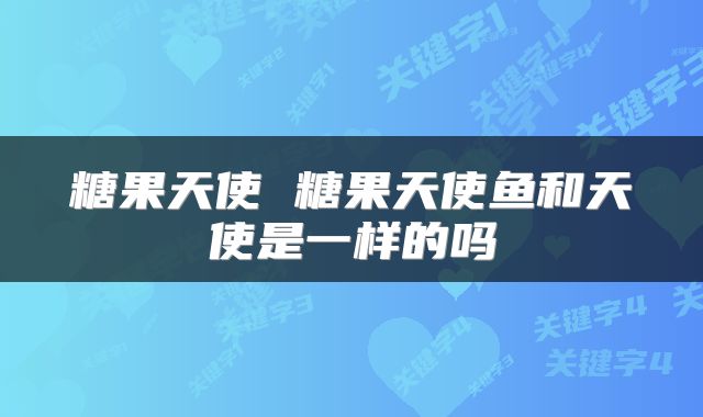 糖果天使 糖果天使鱼和天使是一样的吗