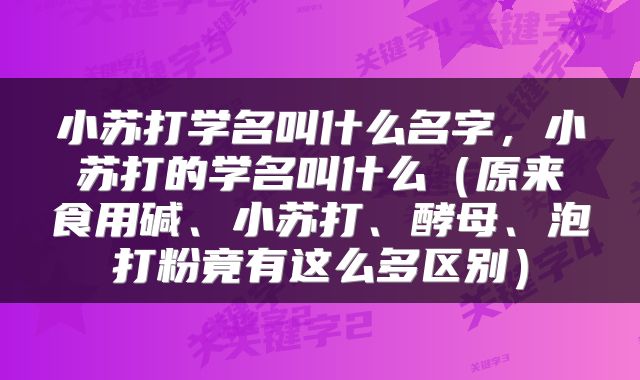 小苏打学名叫什么名字，小苏打的学名叫什么（原来食用碱、小苏打、酵母、泡打粉竟有这么多区别）