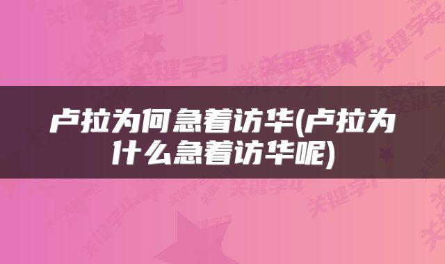 卢拉为何急着访华(卢拉为什么急着访华呢)