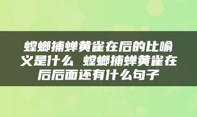 螳螂捕蝉黄雀在后的比喻义是什么 螳螂捕蝉黄雀在后后面还有什么句子