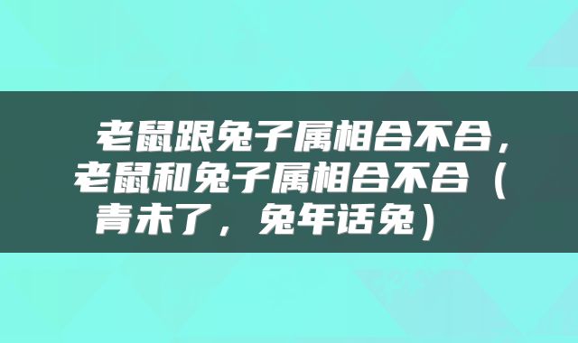  老鼠跟兔子属相合不合，老鼠和兔子属相合不合（青未了，兔年话兔） 