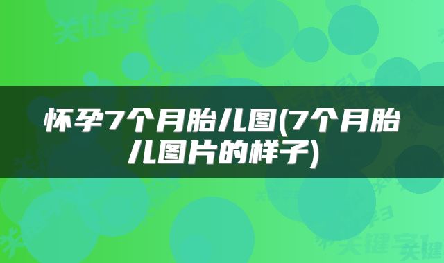 怀孕7个月胎儿图(7个月胎儿图片的样子)