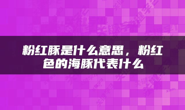 粉红豚是什么意思，粉红色的海豚代表什么