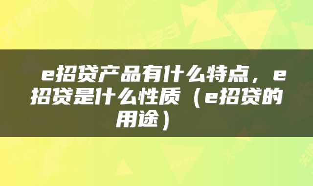  e招贷产品有什么特点，e招贷是什么性质（e招贷的用途） 