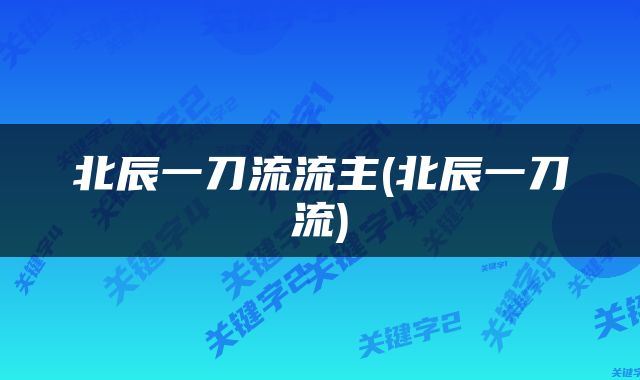 北辰一刀流流主(北辰一刀流)