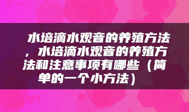  水培滴水观音的养殖方法，水培滴水观音的养殖方法和注意事项有哪些（简单的一个小方法） 