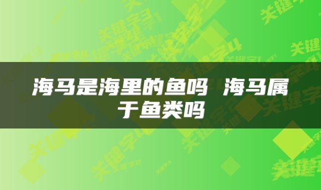 海马是海里的鱼吗 海马属于鱼类吗