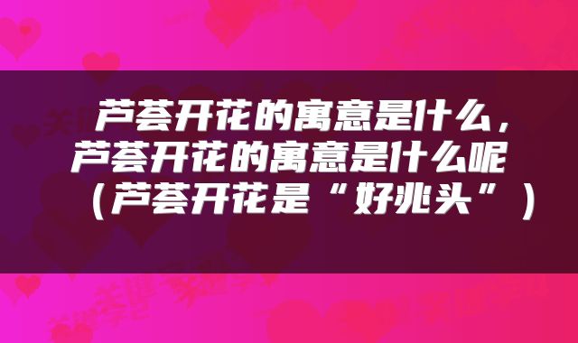  芦荟开花的寓意是什么，芦荟开花的寓意是什么呢（芦荟开花是“好兆头”） 