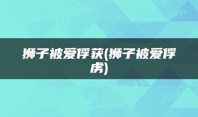 狮子被爱俘获(狮子被爱俘虏)