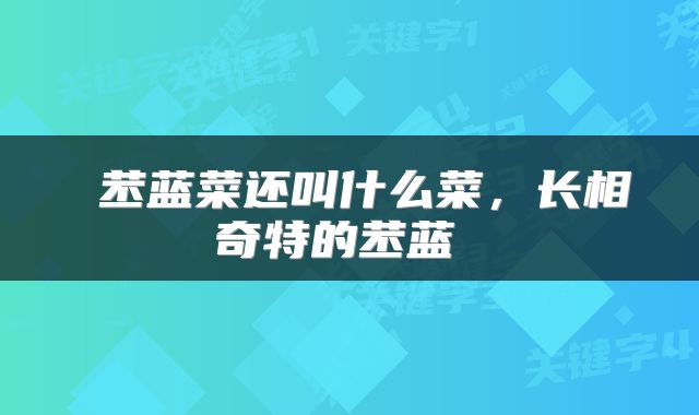  苤蓝菜还叫什么菜，长相奇特的苤蓝 