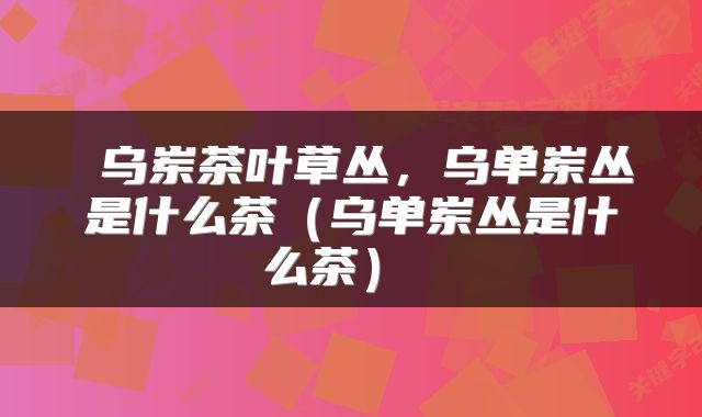  乌岽茶叶草丛，乌单岽丛是什么茶（乌单岽丛是什么茶） 