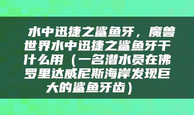  水中迅捷之鲨鱼牙，魔兽世界水中迅捷之鲨鱼牙干什么用（一名潜水员在佛罗里达威尼斯海岸发现巨大的鲨鱼牙齿） 