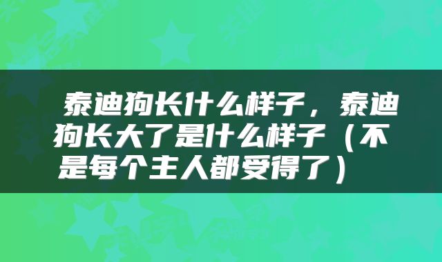  泰迪狗长什么样子，泰迪狗长大了是什么样子（不是每个主人都受得了） 