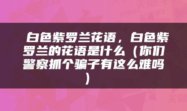  白色紫罗兰花语，白色紫罗兰的花语是什么（你们警察抓个骗子有这么难吗） 