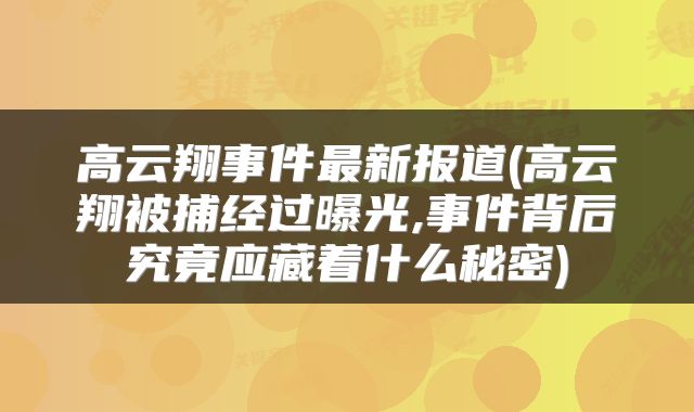 高云翔事件最新报道(高云翔被捕经过曝光,事件背后究竟应藏着什么秘密)