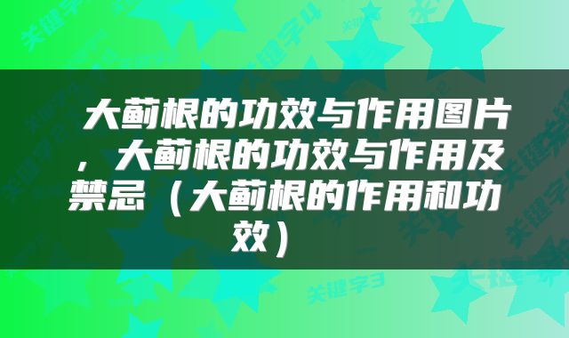  大蓟根的功效与作用图片，大蓟根的功效与作用及禁忌（大蓟根的作用和功效） 