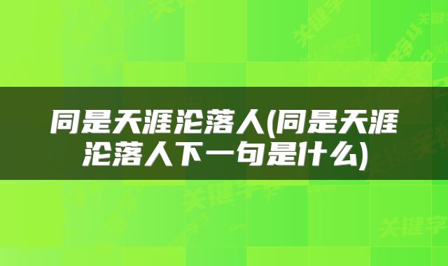 同是天涯沦落人(同是天涯沦落人下一句是什么)