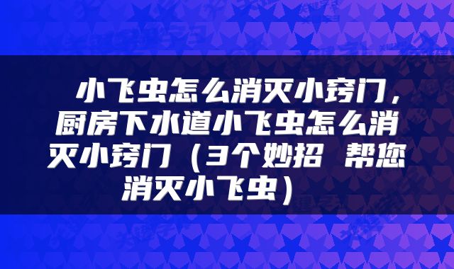  小飞虫怎么消灭小窍门，厨房下水道小飞虫怎么消灭小窍门（3个妙招 帮您消灭小飞虫） 