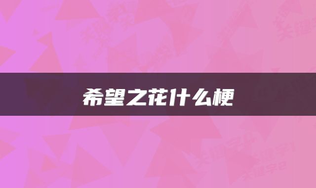 希望之花什么梗