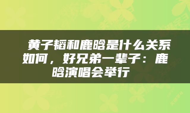  黄子韬和鹿晗是什么关系如何，好兄弟一辈子：鹿晗演唱会举行 