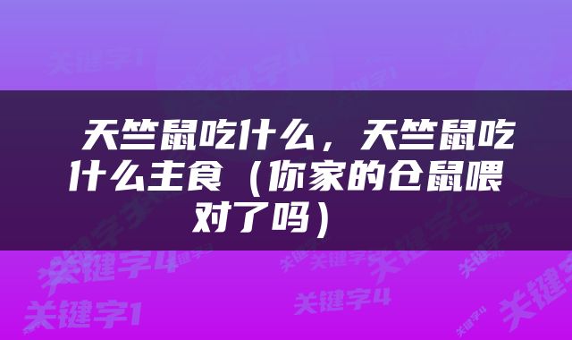  天竺鼠吃什么，天竺鼠吃什么主食（你家的仓鼠喂对了吗） 