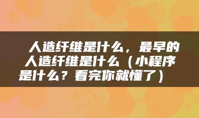  人造纤维是什么，最早的人造纤维是什么（小程序是什么？看完你就懂了） 