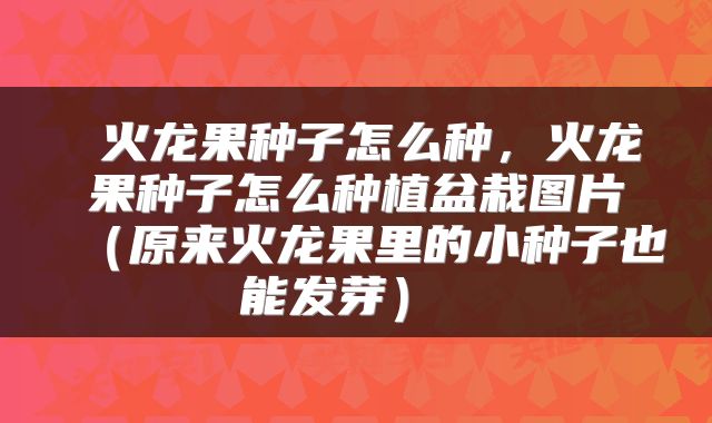 火龙果种子怎么种,火龙果种子怎么种植盆栽图片(原来火龙果里的小种子也能发芽)
