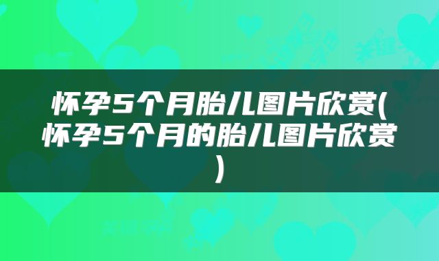 怀孕5个月胎儿图片欣赏(怀孕5个月的胎儿图片欣赏)