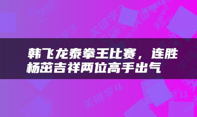  韩飞龙泰拳王比赛，连胜杨茁吉祥两位高手出气 