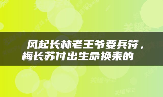  风起长林老王爷要兵符，梅长苏付出生命换来的 