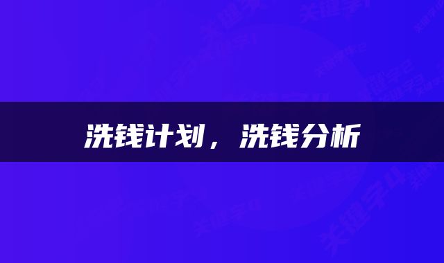 洗钱计划，洗钱分析