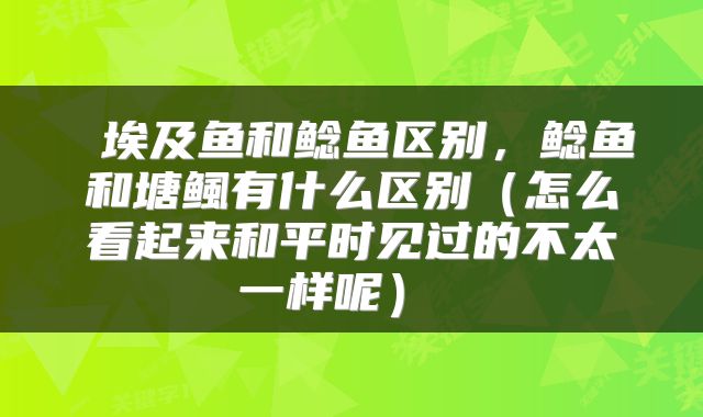  埃及鱼和鲶鱼区别，鲶鱼和塘鲺有什么区别（怎么看起来和平时见过的不太一样呢） 
