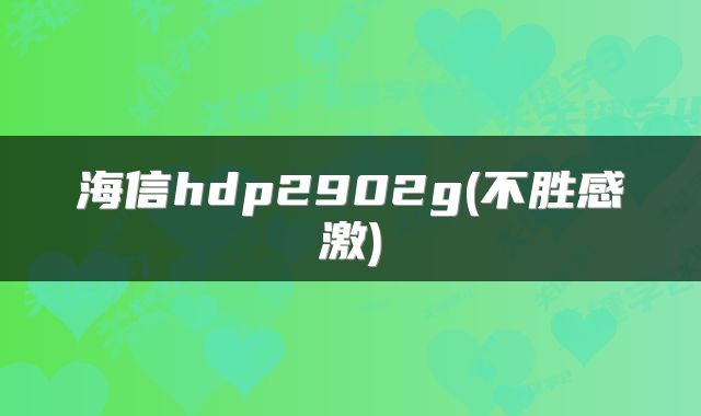 海信hdp2902g(不胜感激)