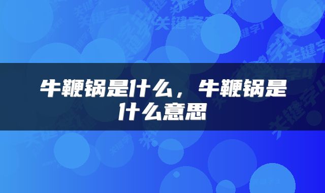 牛鞭锅是什么，牛鞭锅是什么意思