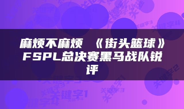 麻烦不麻烦 《街头篮球》FSPL总决赛黑马战队锐评