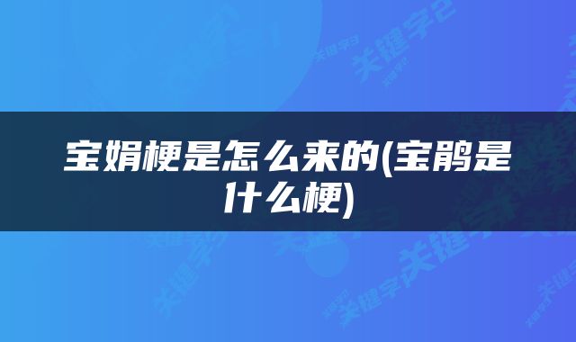 宝娟梗是怎么来的(宝鹃是什么梗)