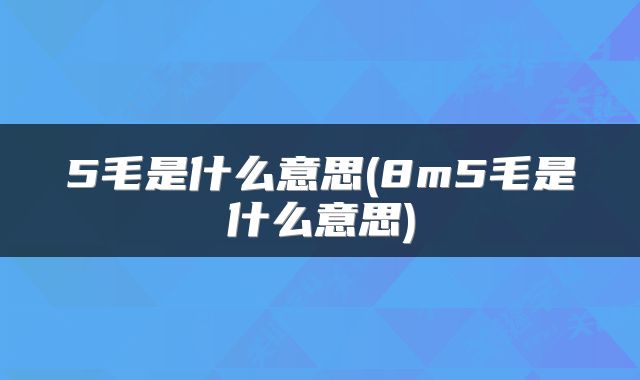 5毛是什么意思(8m5毛是什么意思)