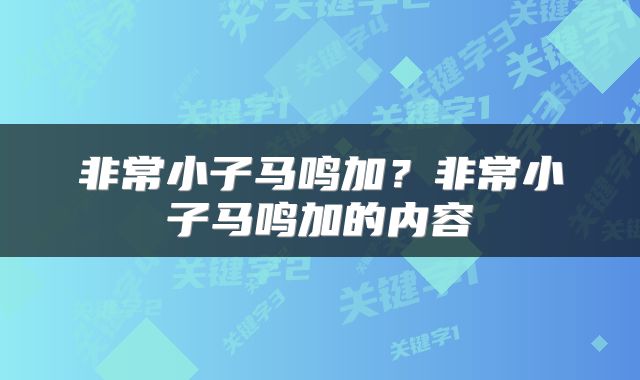 非常小子马鸣加？非常小子马鸣加的内容