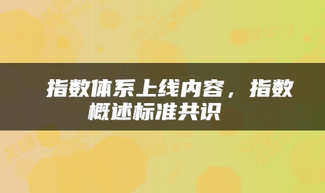  指数体系上线内容，指数概述标准共识 