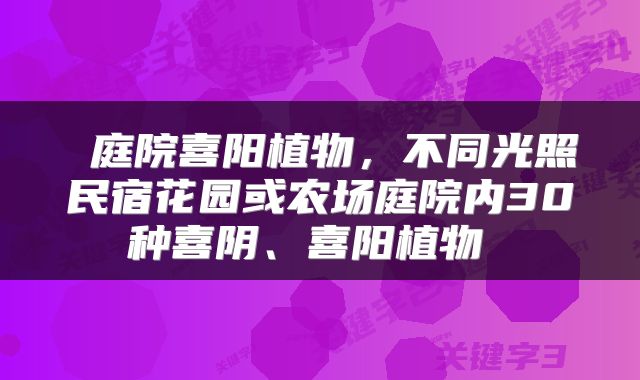  庭院喜阳植物，不同光照民宿花园或农场庭院内30种喜阴、喜阳植物 