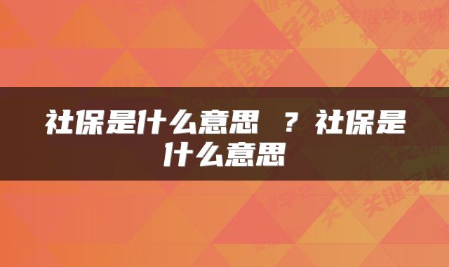 社保是什么意思 ？社保是什么意思