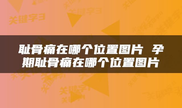 耻骨痛在哪个位置图片 孕期耻骨痛在哪个位置图片