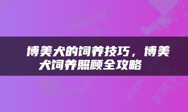  博美犬的饲养技巧，博美犬饲养照顾全攻略 