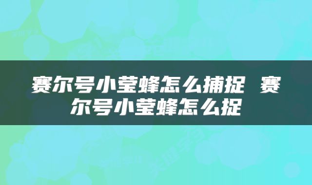 赛尔号小莹蜂怎么捕捉 赛尔号小莹蜂怎么捉
