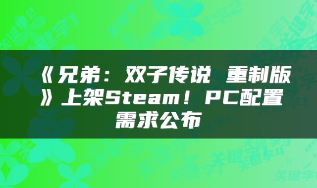《兄弟：双子传说 重制版》上架Steam！PC配置需求公布