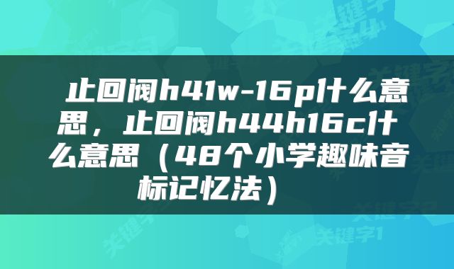  止回阀h41w-16p什么意思，止回阀h44h16c什么意思（48个小学趣味音标记忆法） 