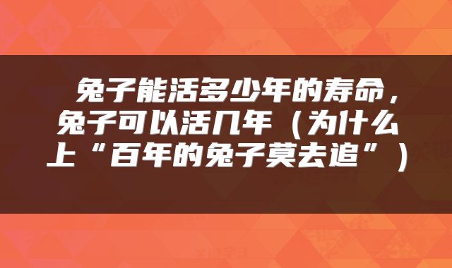  兔子能活多少年的寿命，兔子可以活几年（为什么上“百年的兔子莫去追”） 