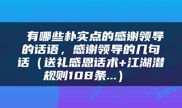  有哪些朴实点的感谢领导的话语，感谢领导的几句话（送礼感恩话术+江湖潜规则108条...） 