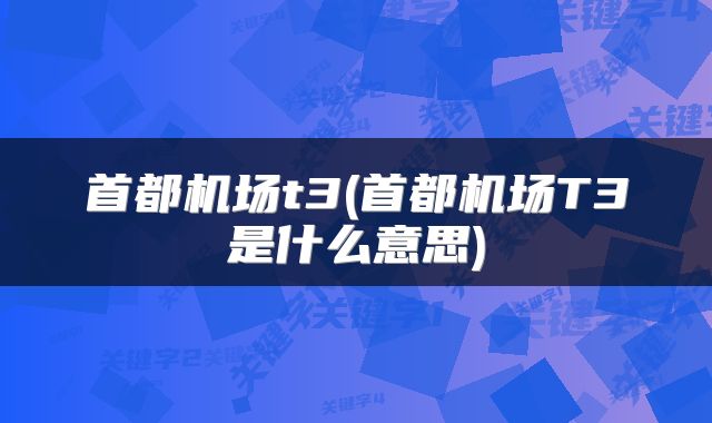 首都机场t3(首都机场T3是什么意思)