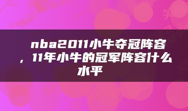  nba2011小牛夺冠阵容，11年小牛的冠军阵容什么水平 